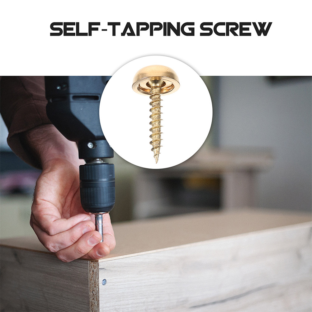 8Pcs Decorative Cap Screws Bra - Woodworking Projects Art ulasan dan harga